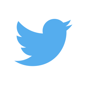 Logo for Social Media website Twitter